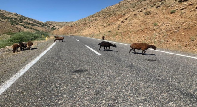 Erzurum Valiliğinden ceza açıklaması